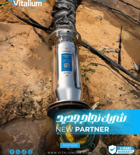 About vitalium partner (1)