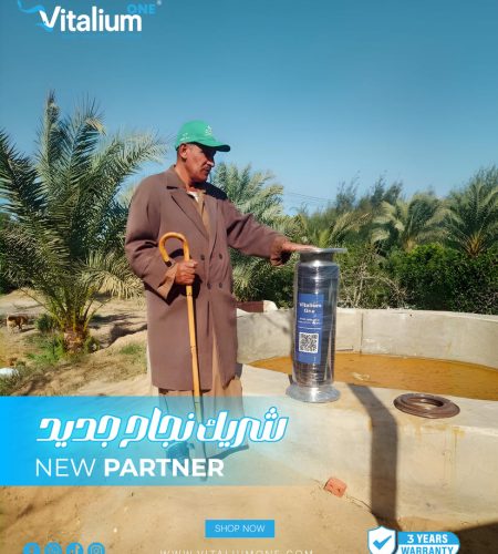 About vitalium partner (2)