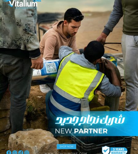 About vitalium partner (4)