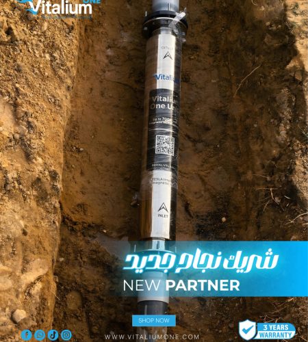 About vitalium partner (5)