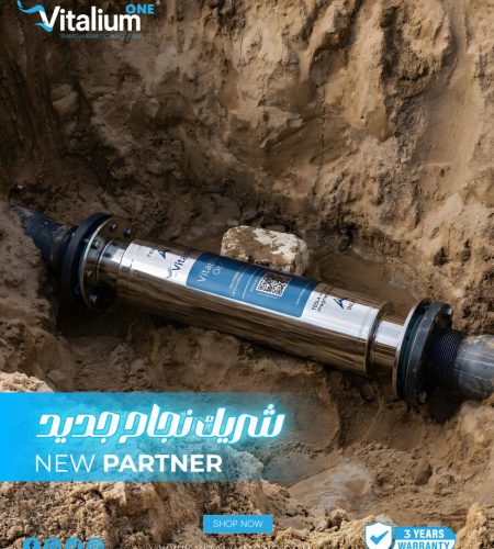 About vitalium partner (6)