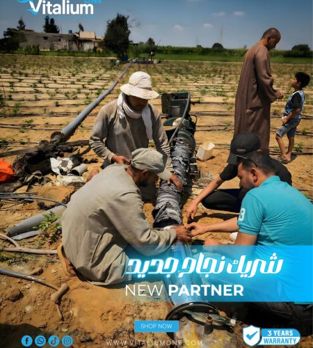 About vitalium partner (8)